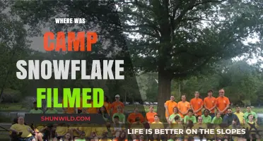 Unveiling the Chilling Location of Camp Snowflake: A Horror Retreat