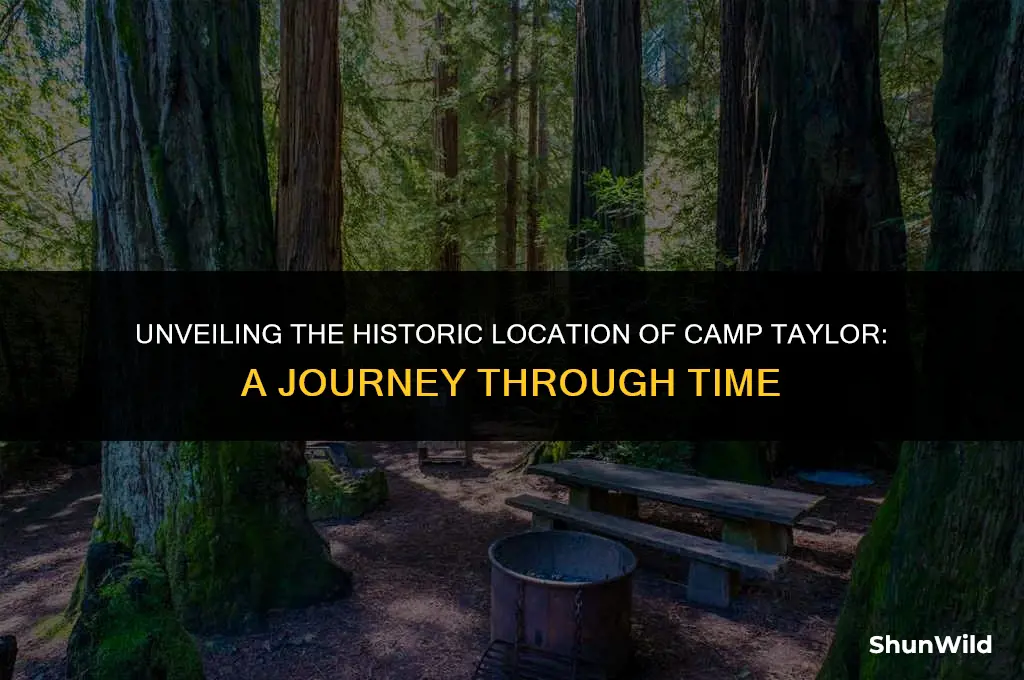 where was camp taylor