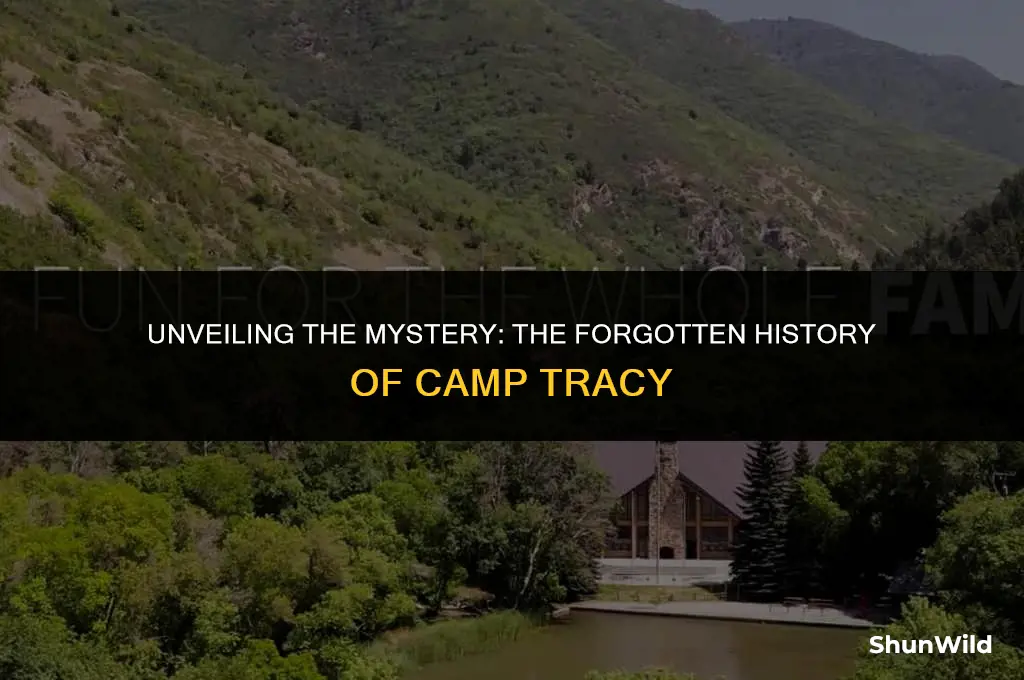 where was camp tracy