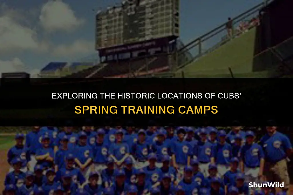 where was cubs training camp