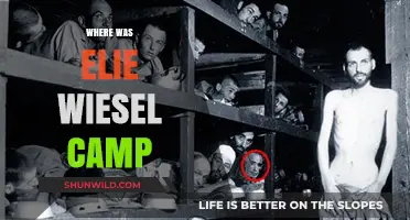 Unveiling the Horrors: Elie Wiesel's Auschwitz Experience