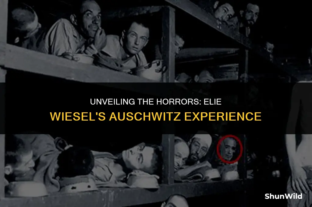 where was elie wiesel camp