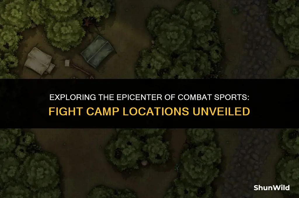where was fight camp held