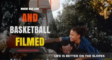 Love & Basketball Filming Locations: Where Was It Shot?