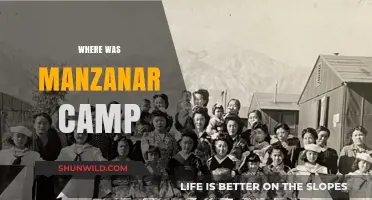 Unveiling the Hidden History: Manzanar Camp's Untold Story
