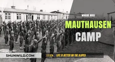 Unveiling the Dark History: Mauthausen Camp's Haunting Legacy