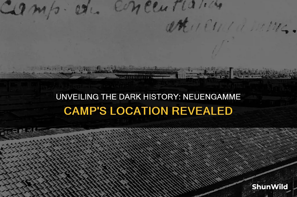 where was neuengamme camp located