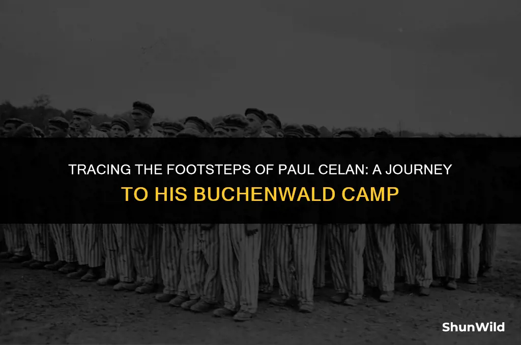 where was paul celan camp