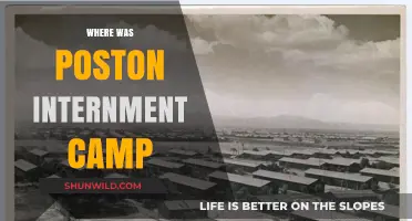 Unveiling the Hidden History: Poston Internment Camp's Untold Story