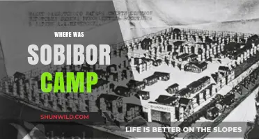 Unveiling Sobibor: The Haunting History of a Nazi Death Camp