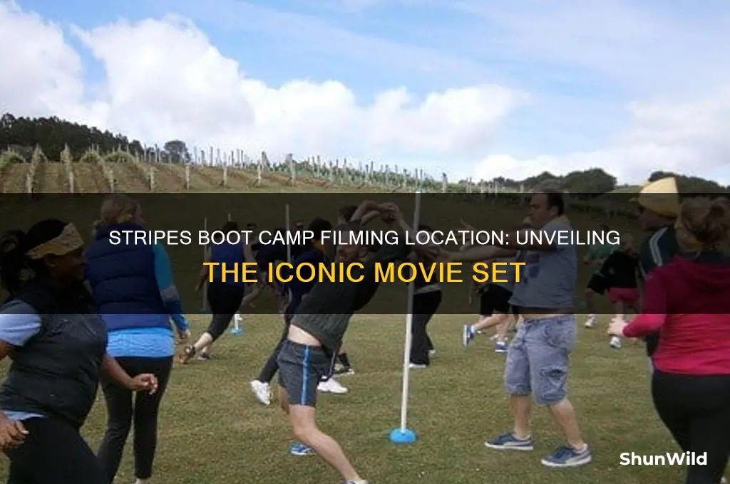 where was stripes boot camp filmed