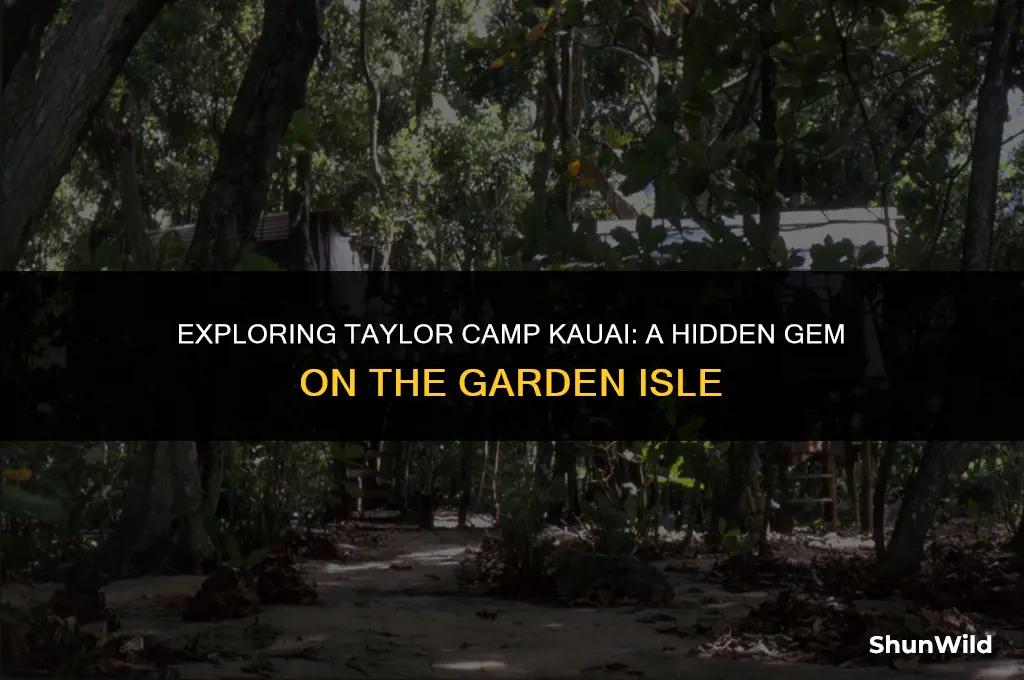 where was taylor camp kauai