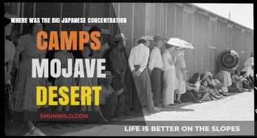 Mojave Desert's Hidden History: Japanese Concentration Camps Revealed