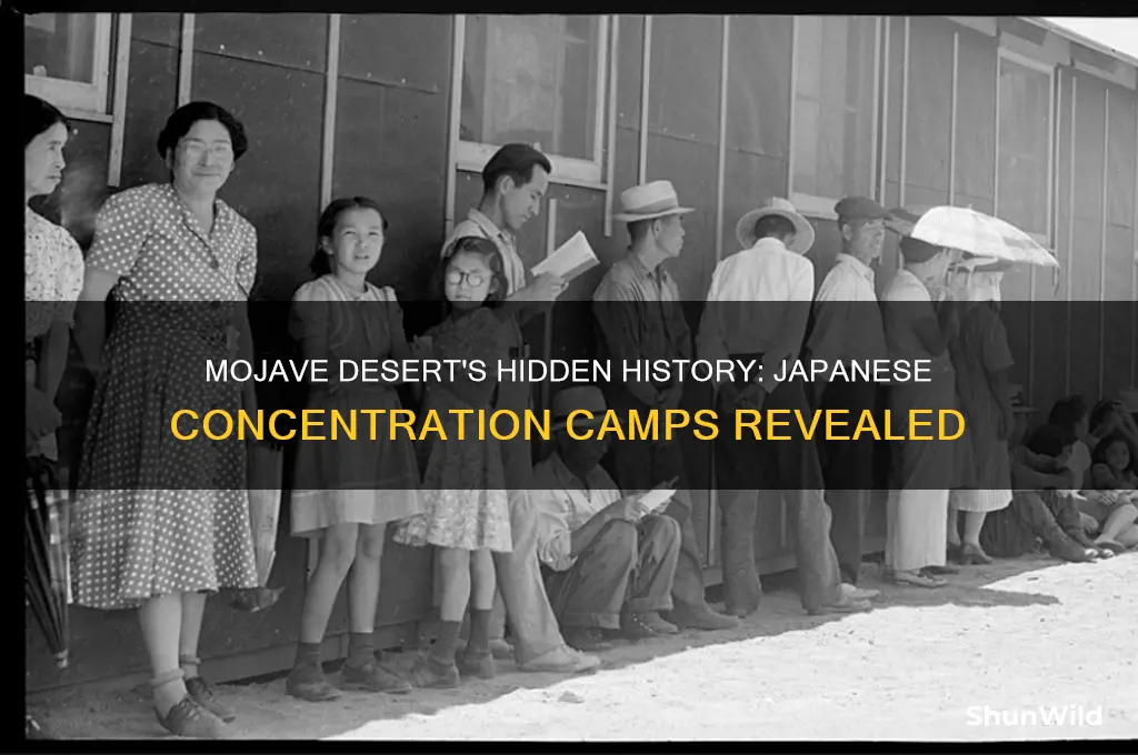 where was the big japanese concentration camps mojave desert