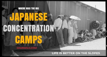 Uncovering Japan's Hidden History: Locations of WWII Concentration Camps