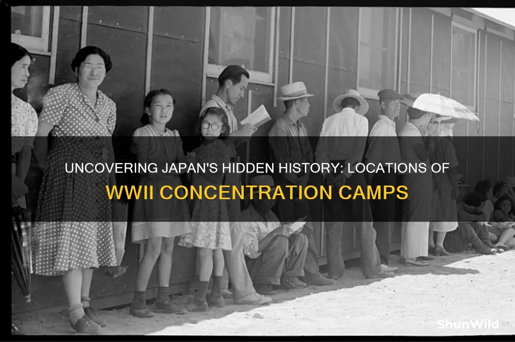 where was the big japanese concentration camps