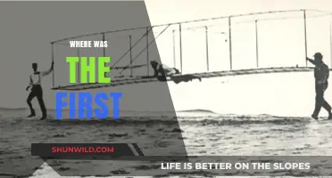 The First Steps: Where Did They Begin?