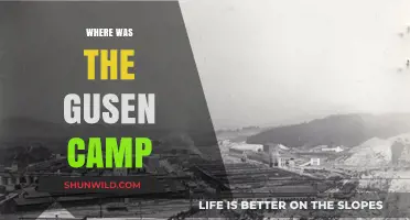 Unveiling the Hidden Horrors: The Untold Story of Gusen Camp
