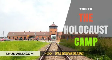 Unveiling the Horrors: A Journey to the Holocaust Camps