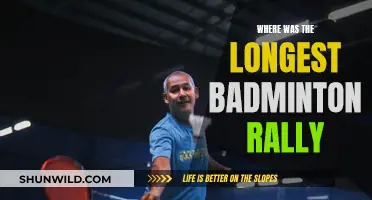 Epic Badminton Rally: The Longest Ever