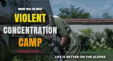 Unveiling the Brutality: The Most Violent Concentration Camp Revealed