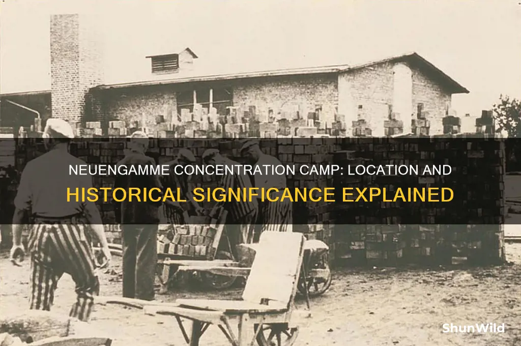 where was the neuengamme concentration camp