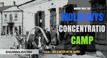 Uncovering the Location of Wolkowysk Concentration Camp: A Historical Inquiry