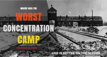 The Most Brutal Concentration Camp: Uncovering the Horrors of Auschwitz