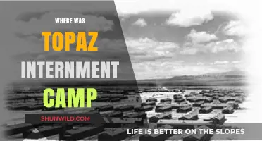 Unveiling the Hidden History: Topaz Internment Camp's Untold Story