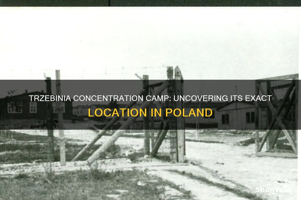 where was trzebinia concentration camp located