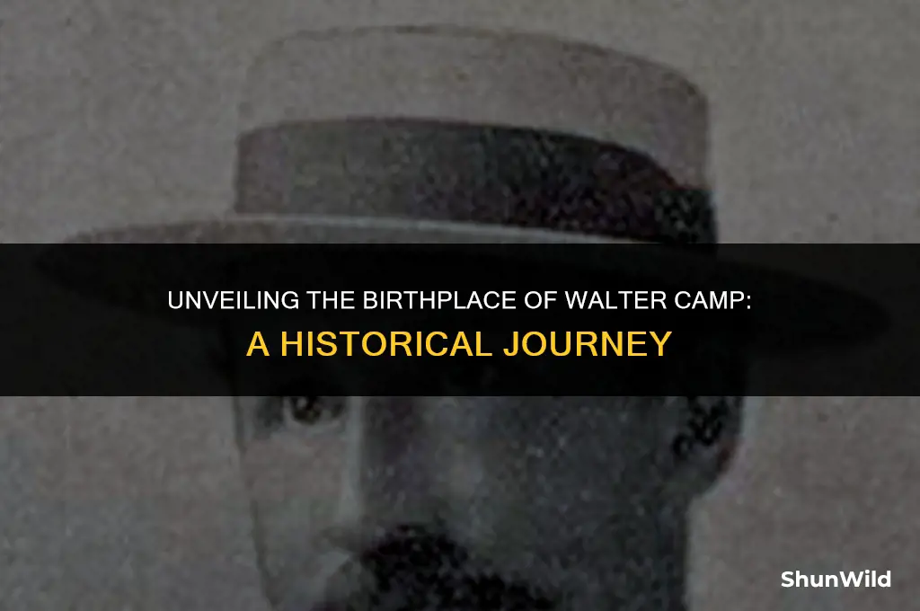where was walter camp born