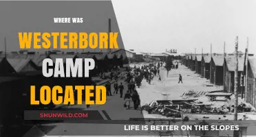 Unveiling the Haunting History of Westerbork Camp: A Journey Through Time