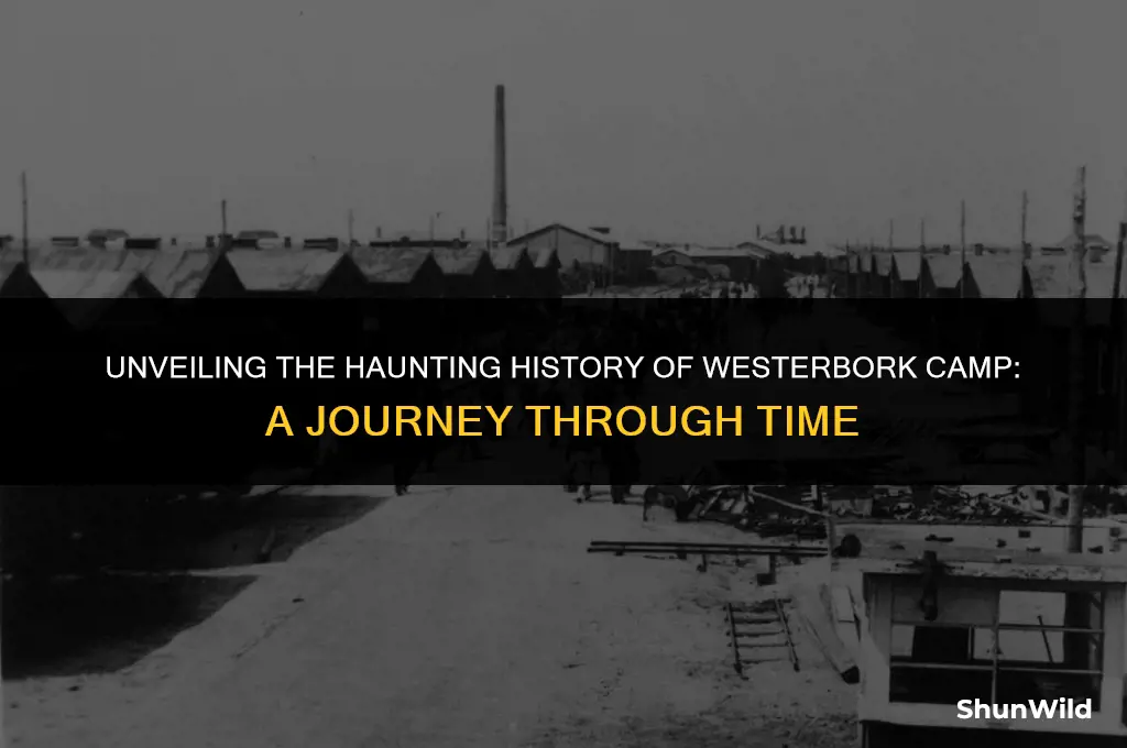 where was westerbork camp located