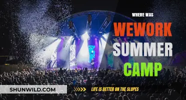 Exploring the Global Locations of WeWork's Summer Camp Programs