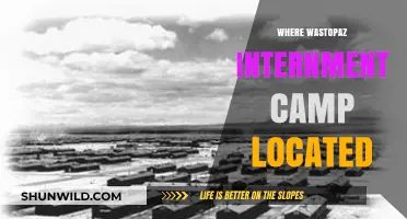 Unveiling the Hidden History: Topaz Internment Camp's Location Revealed
