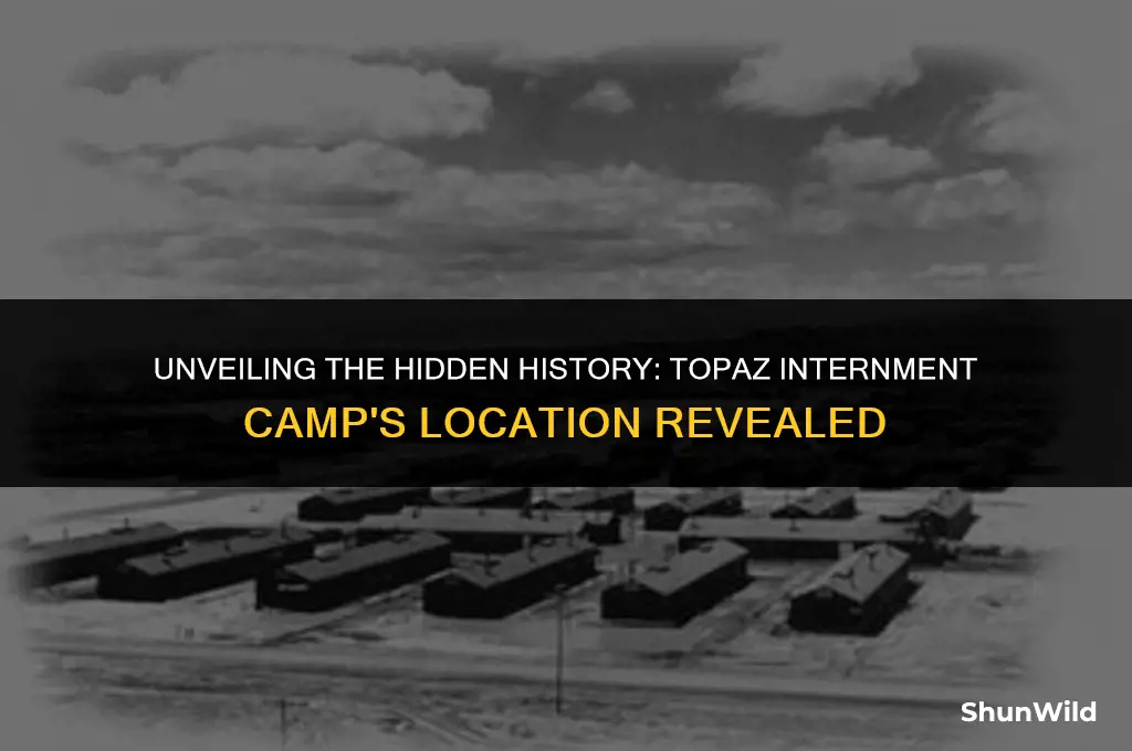 where wastopaz internment camp located