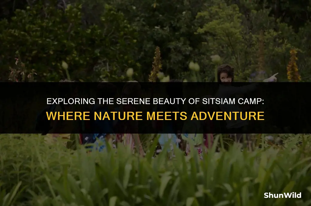 where we are sitsiam camp