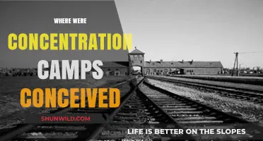 Origins of Concentration Camps: A Dark Historical Conception