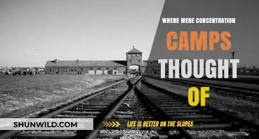 Origins of Concentration Camps: A Dark Historical Genesis Explored