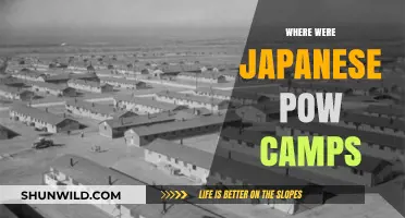 Unveiling the Hidden Horrors: A Journey Through Japanese POW Camps