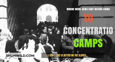 Ghettos and Transit Camps: The Prelude to Concentration Camps