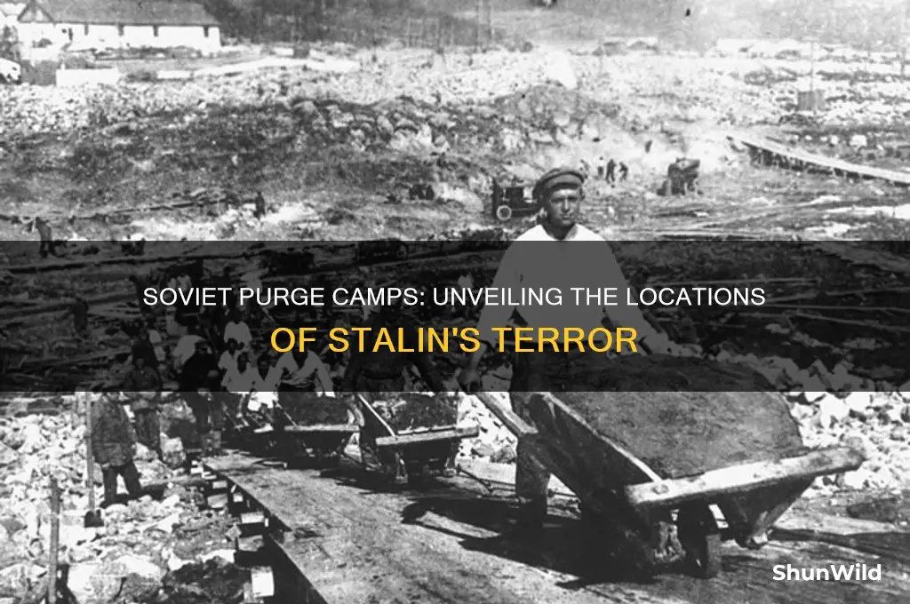 where were soviet purge concentration camps located