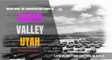 Cache Valley's Hidden History: Uncovering Utah's Concentration Camp Locations