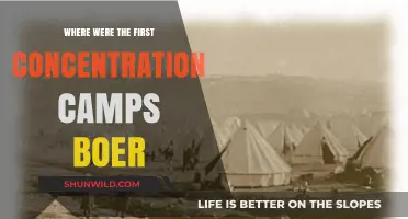 The Origins of Boer Concentration Camps: A Historical Overview