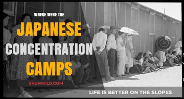 Uncovering the Locations of Japanese Concentration Camps in History