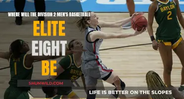 Elite Eight: Venues for Division 2 Men's Basketball Madness