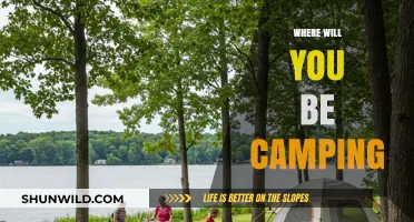 Where Will You Be Camping: A Guide to Choosing Your Next Adventure Spot