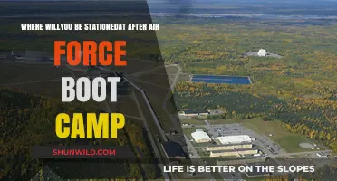 Post-Boot Camp: Discovering Your Air Force Station Assignment