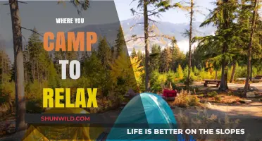 Serenity in the Wilderness: Unwind at These Tranquil Camping Spots