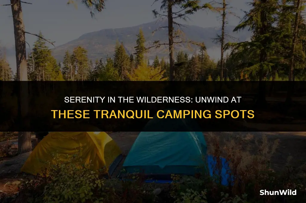where you camp to relax